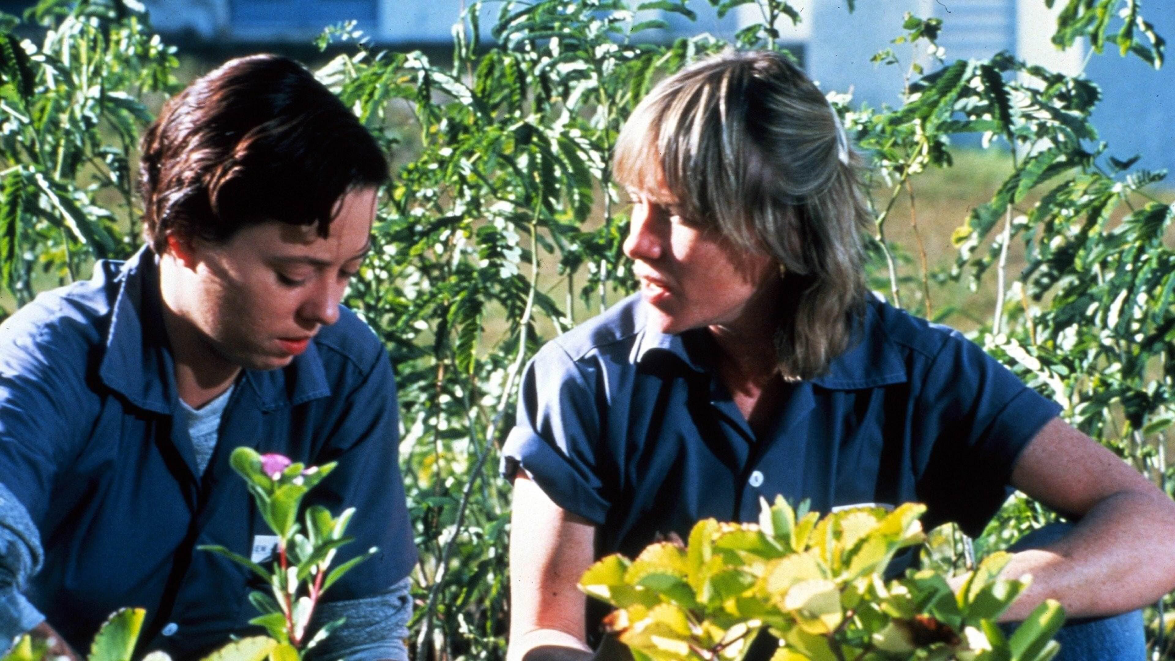 Love Child 1982 movie scene