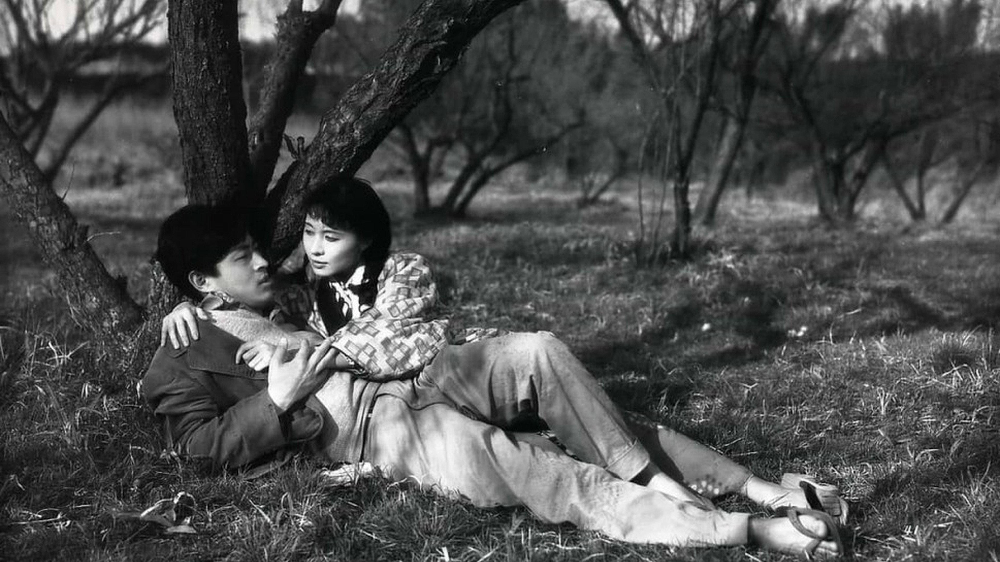 Stolen Desire 1958 movie scene