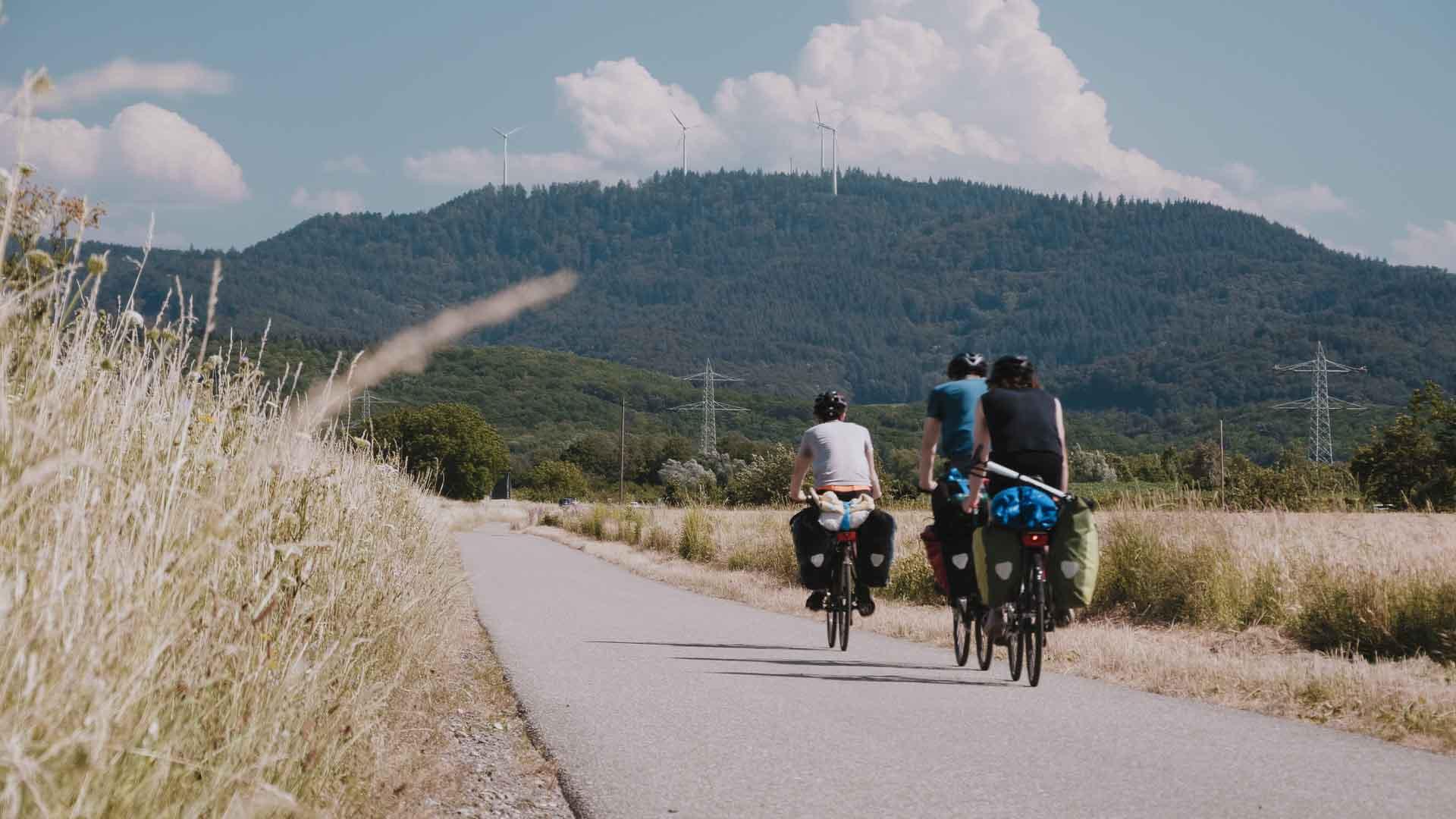 BE WILD - NORMALITY IS RADICAL 2019 movie scene