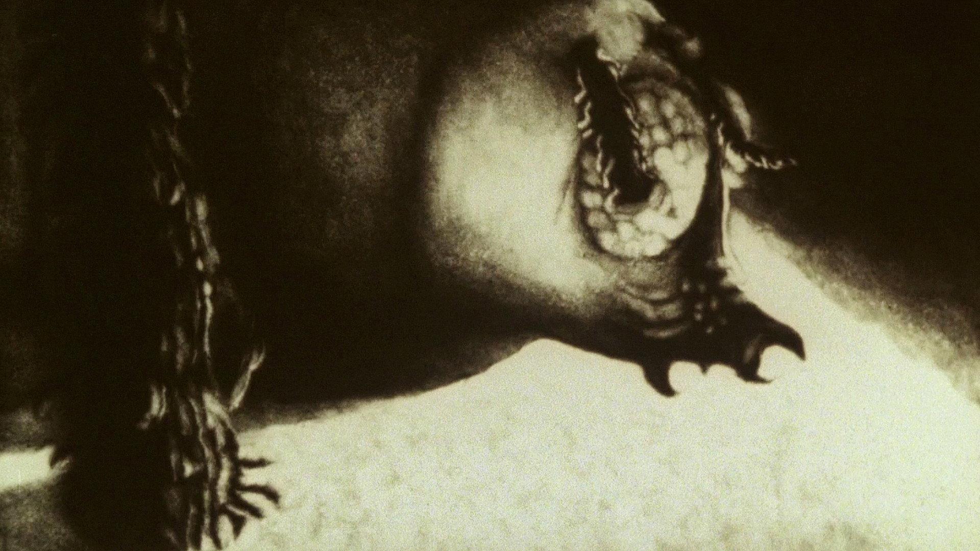 The Metamorphosis of Mr. Samsa 1978 movie scene