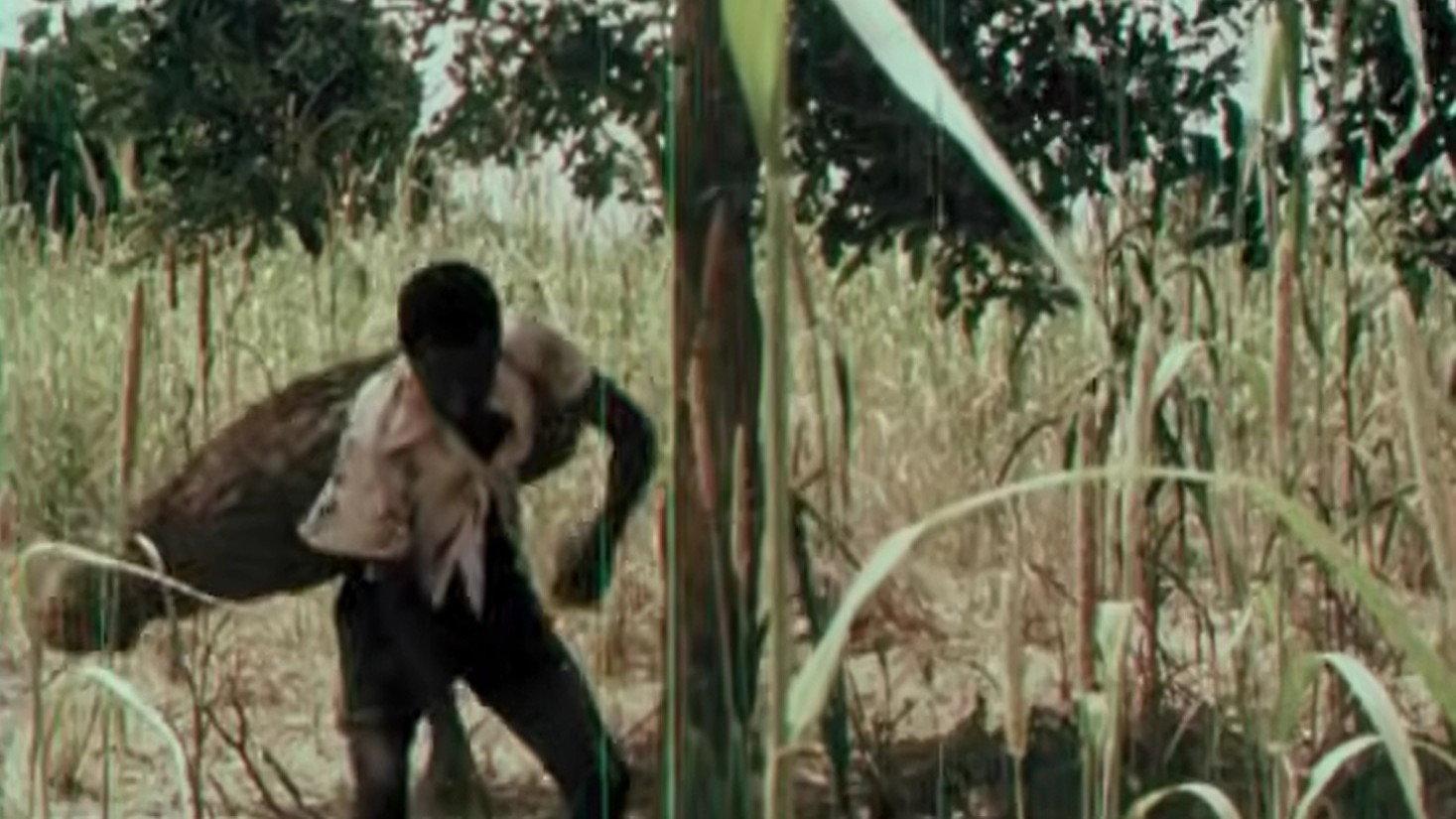 Poko 1981 movie scene