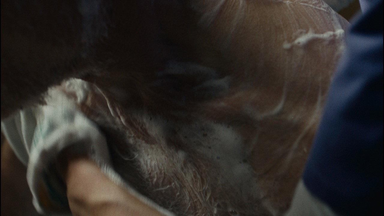 Dignity Keeper 2021 movie scene