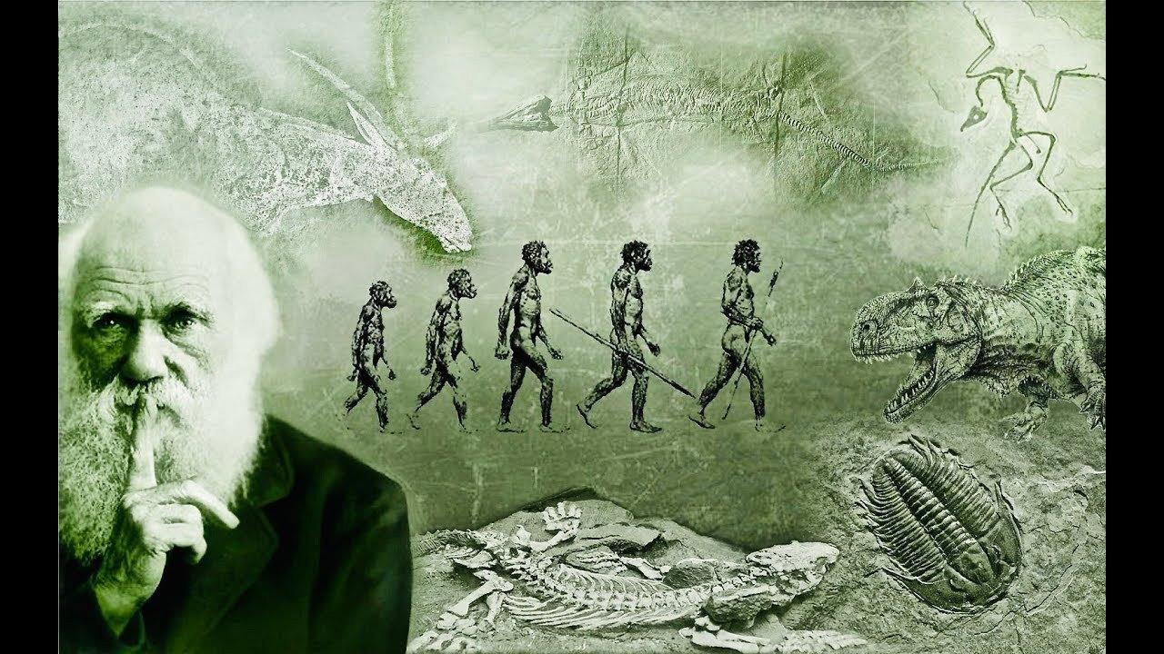 What Darwin Never Knew 2009 movie scene