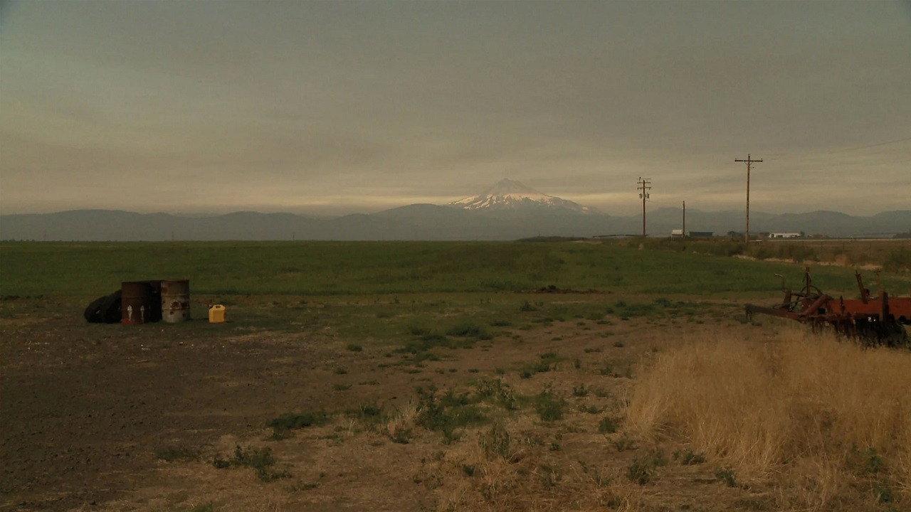 L. Cohen 2018 movie scene