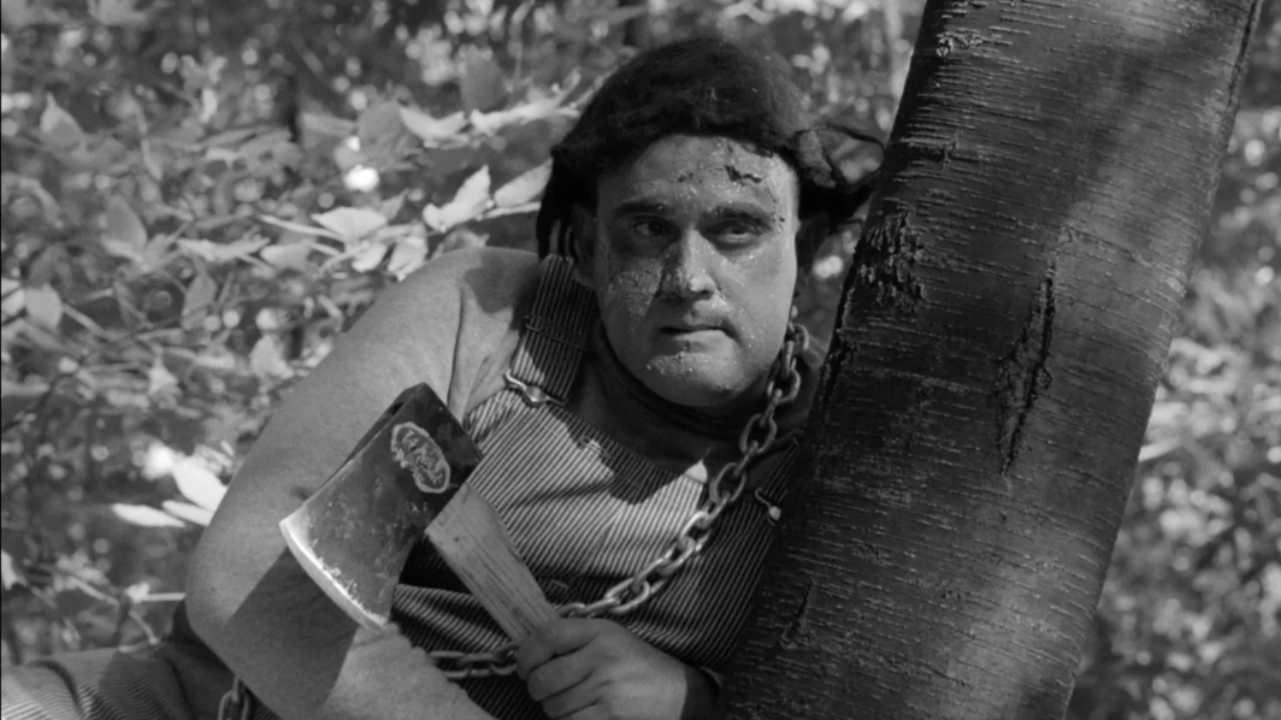 The Monster of Camp Sunshine or How I Learned to Stop Worrying and Love Nature 1964 movie scene