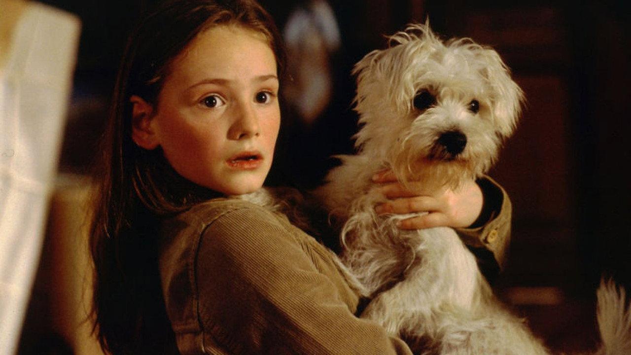 Mein Bruder ist ein Hund 2004 movie scene