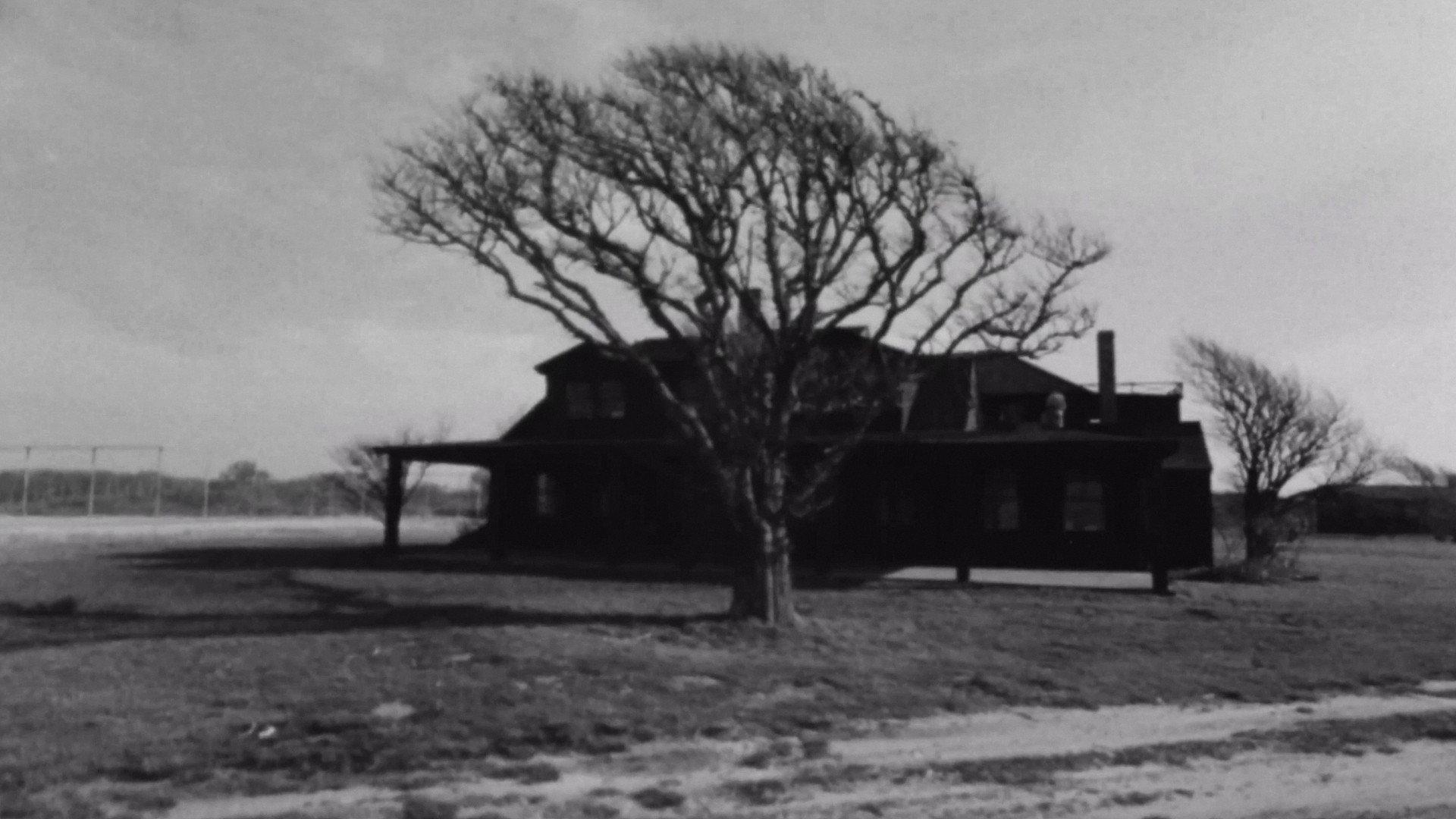 Vineyard IV 1967 movie scene