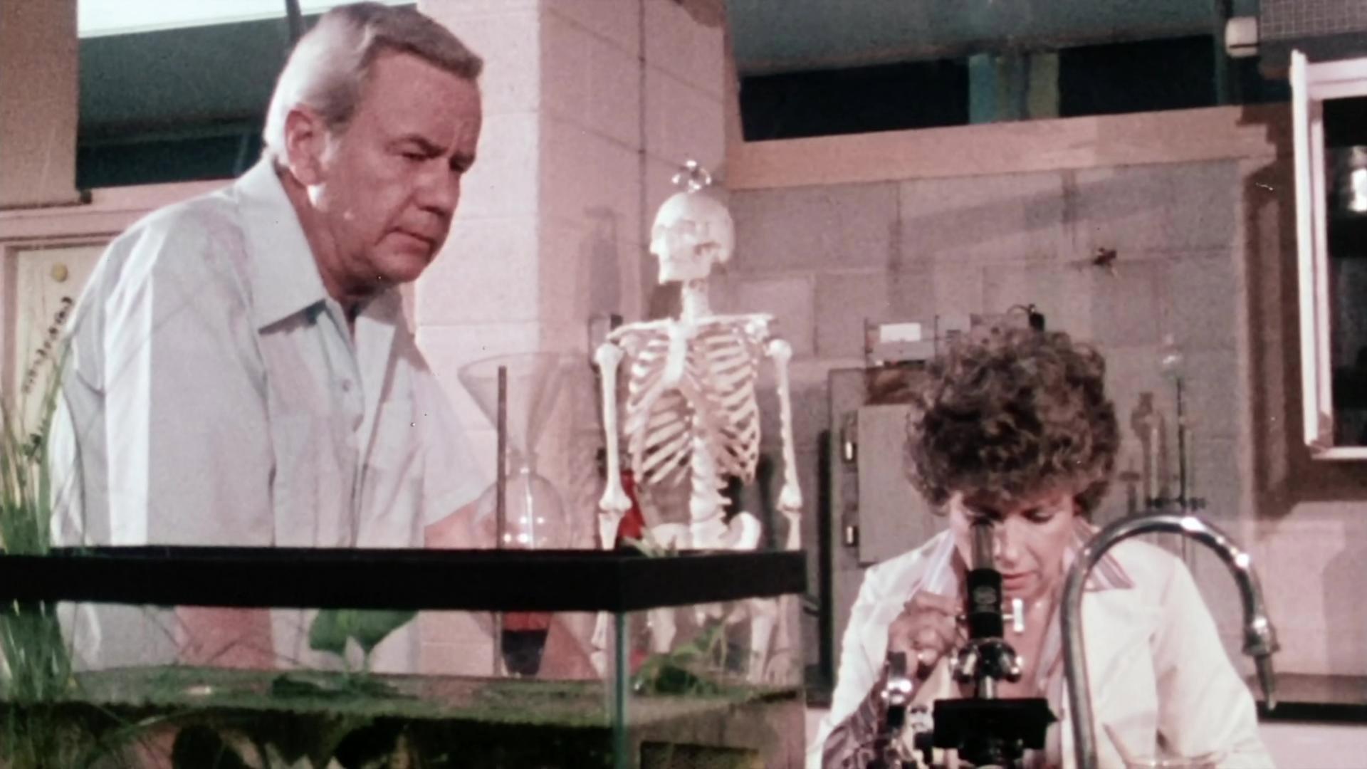 Bog 1979 movie scene