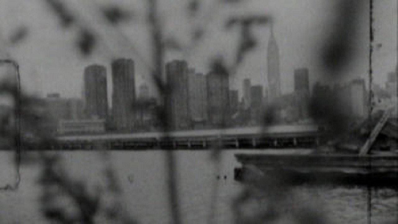Long for the City (Patti Smith in New York) 2009 movie scene