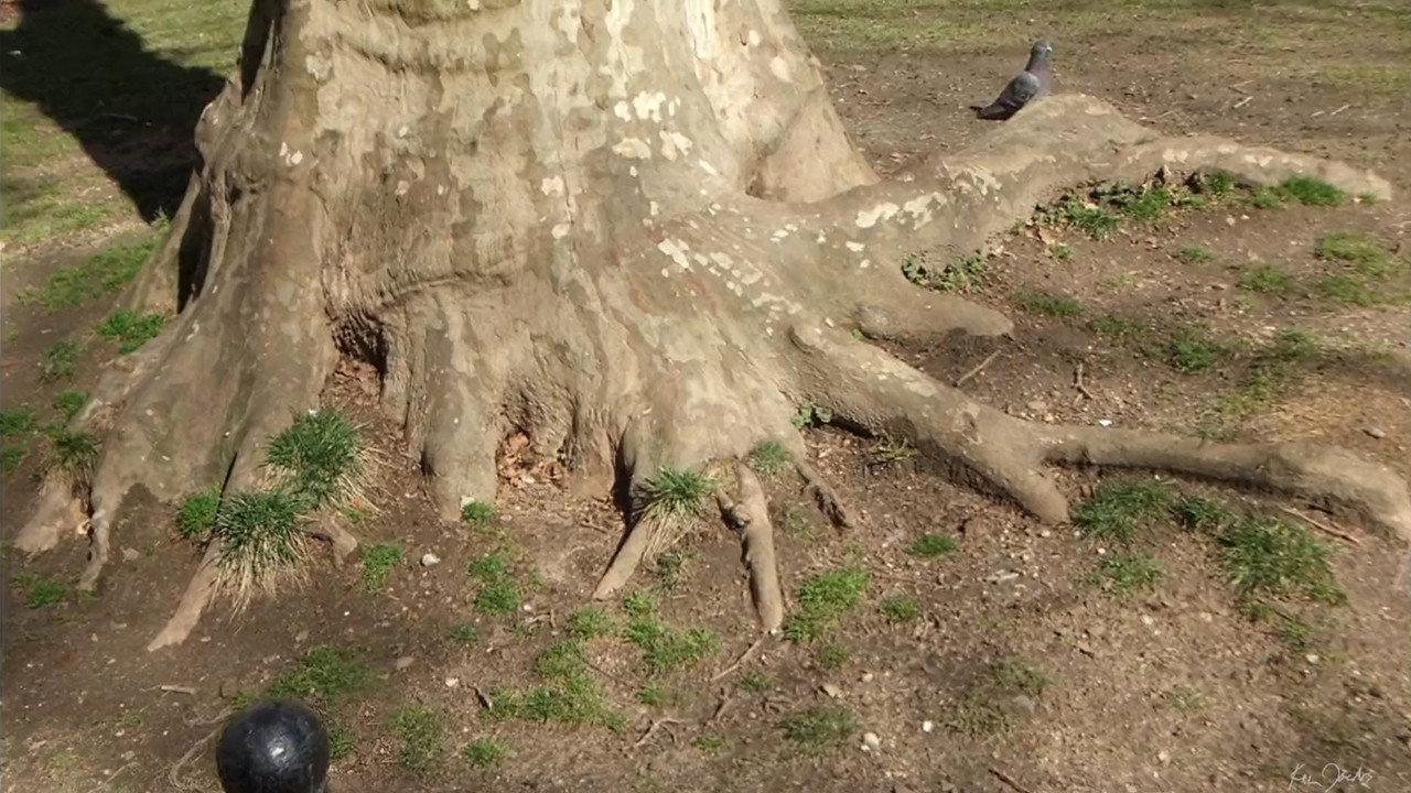 Roots of Manhattan 2020 movie scene