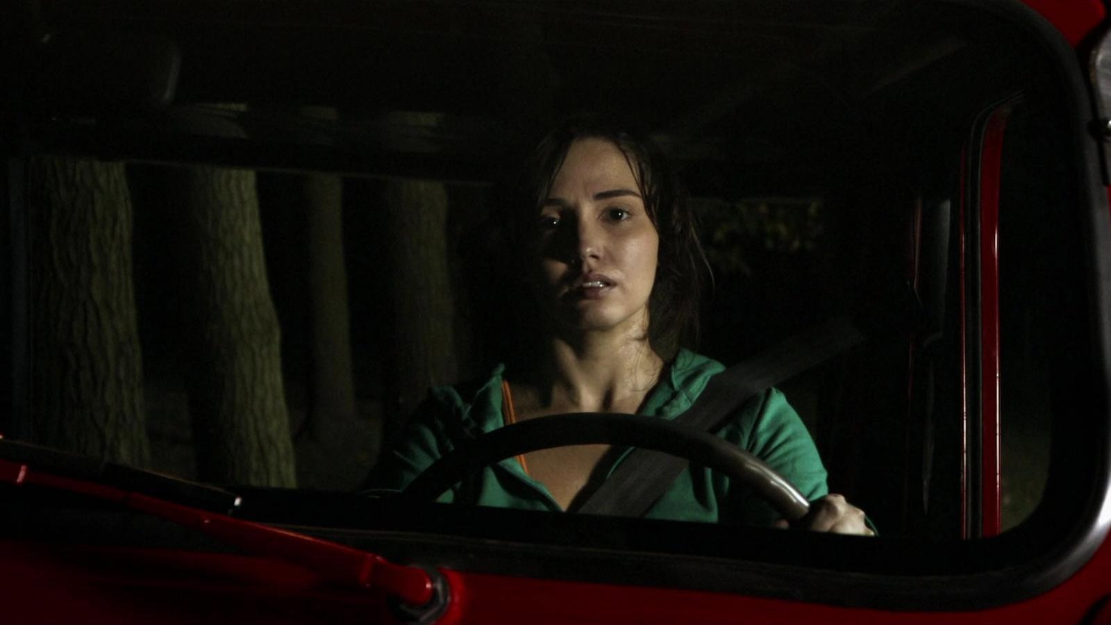 Hit and Run 2009 movie scene