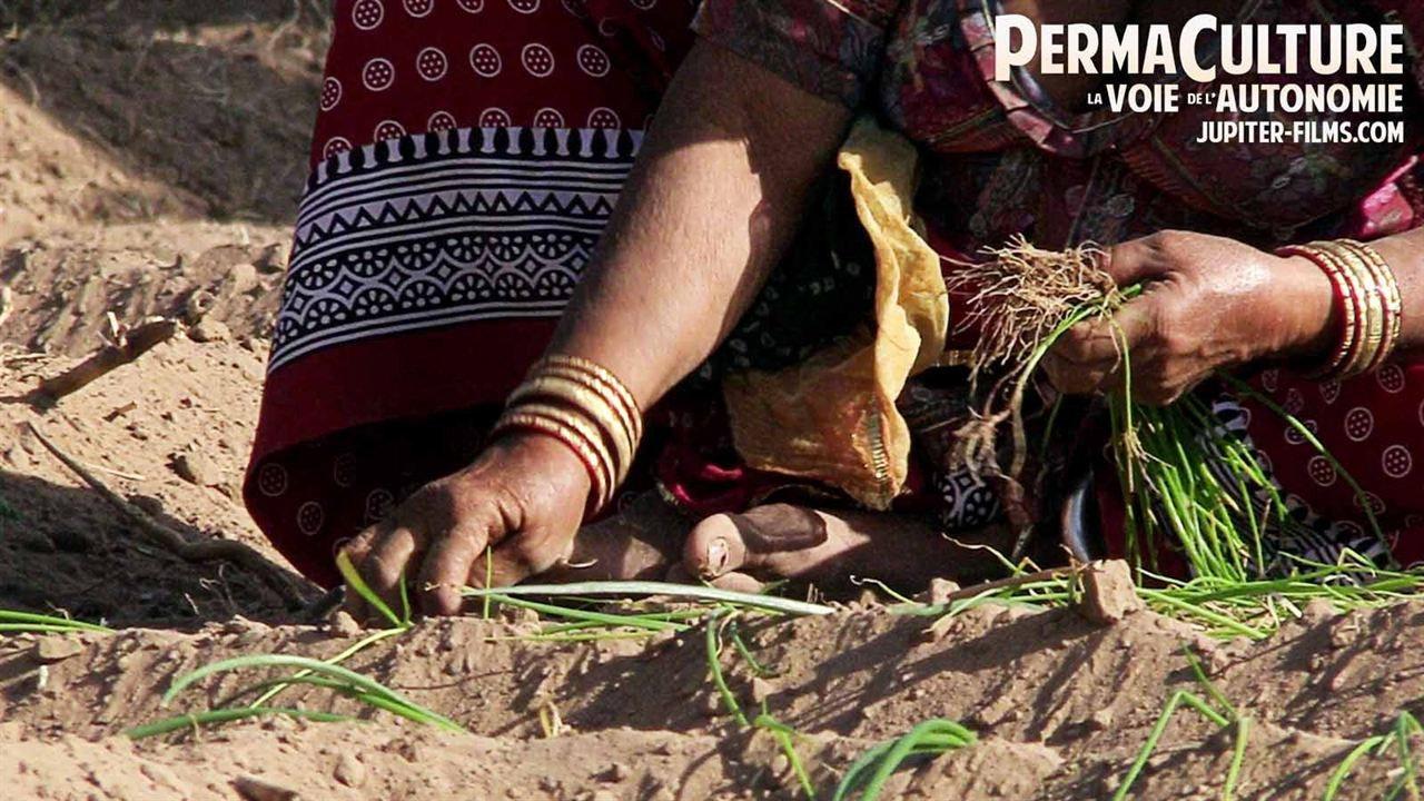 Permaculture, la voie de l'autonomie 2019 movie scene