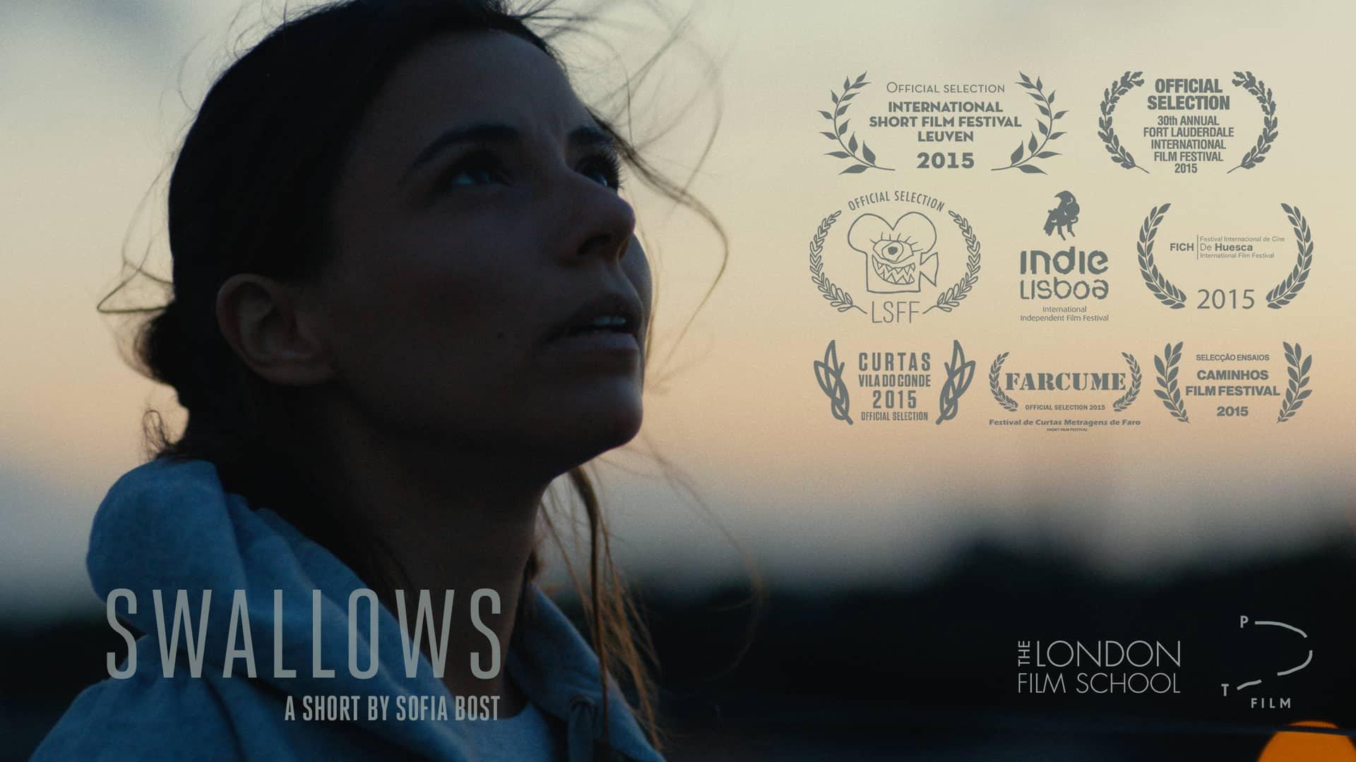 Swallows 2015 movie scene