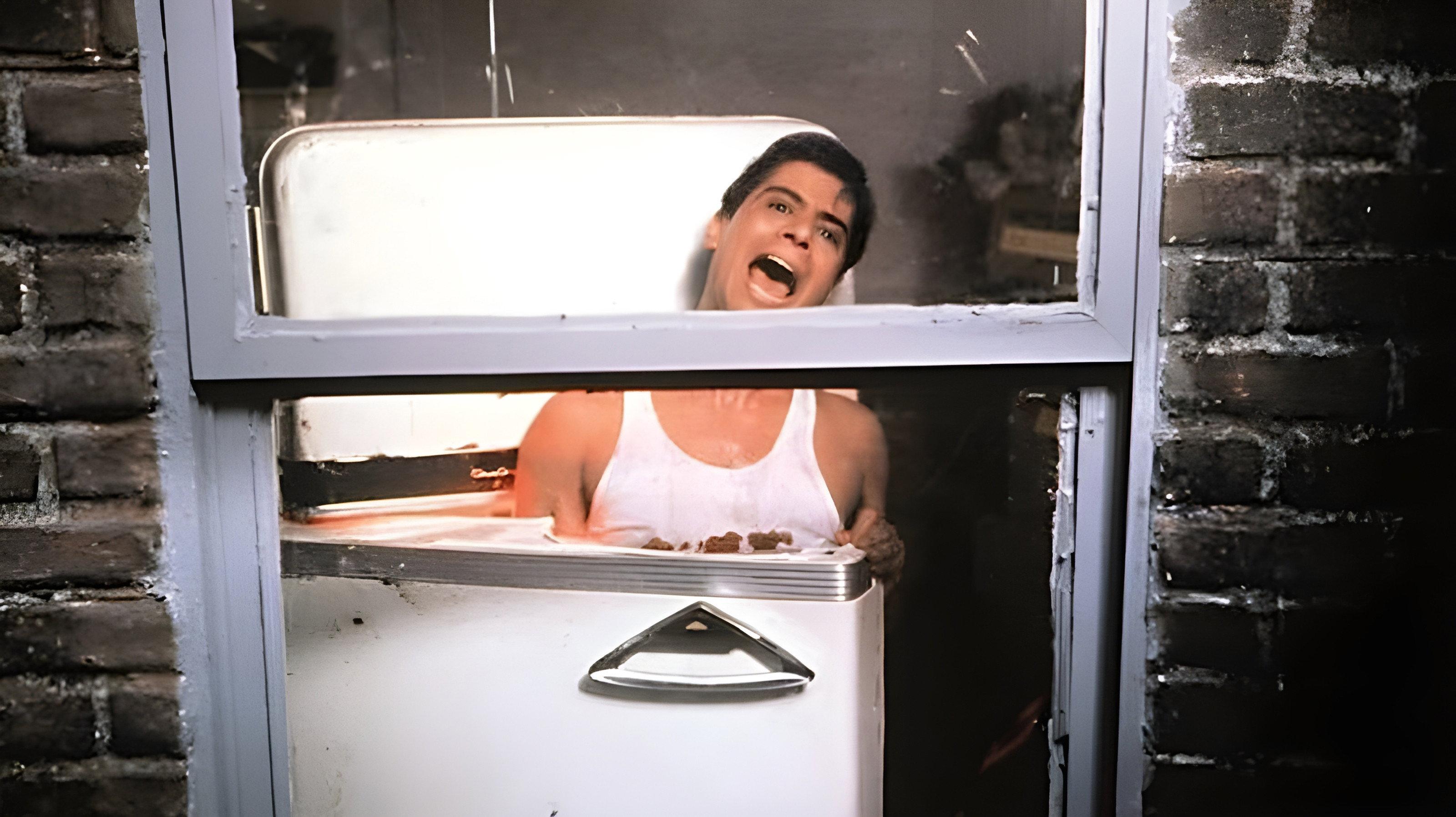 The Refrigerator 1991 movie scene