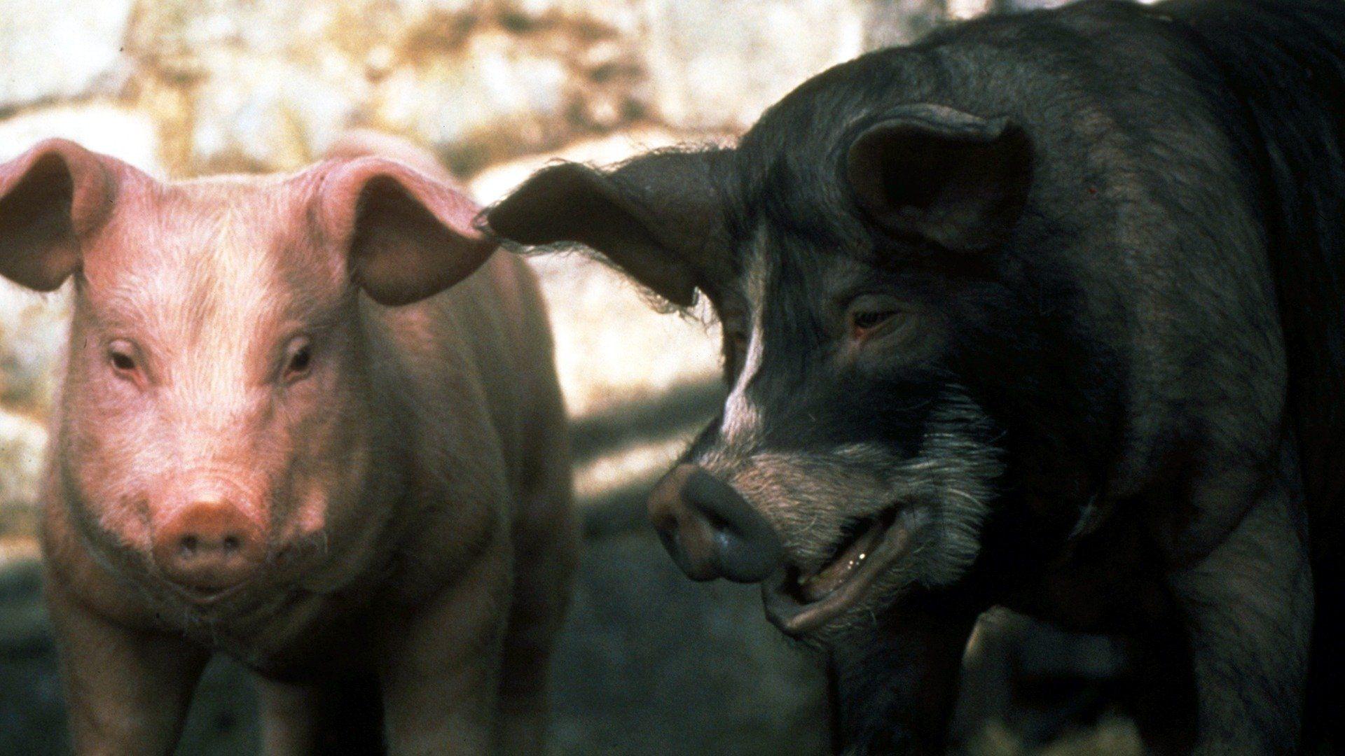 Animal Farm 1999 movie scene