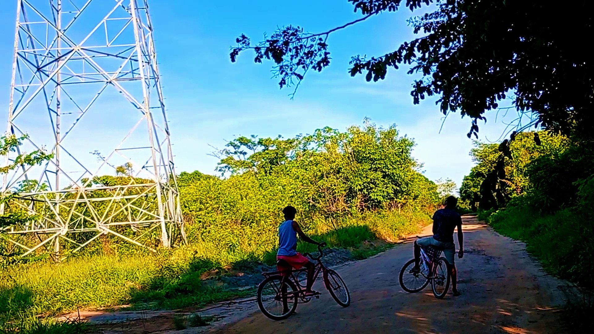 Bicycles and Trees 2026 movie scene