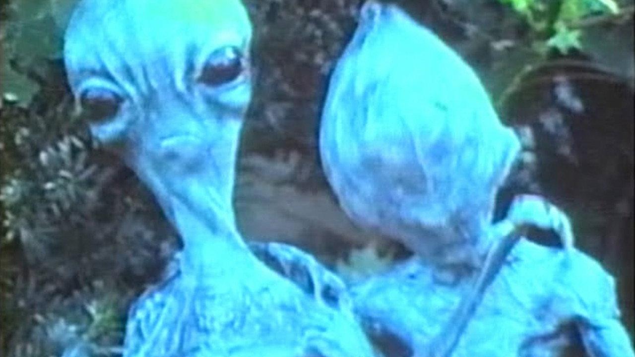 Feeders 1996 movie scene