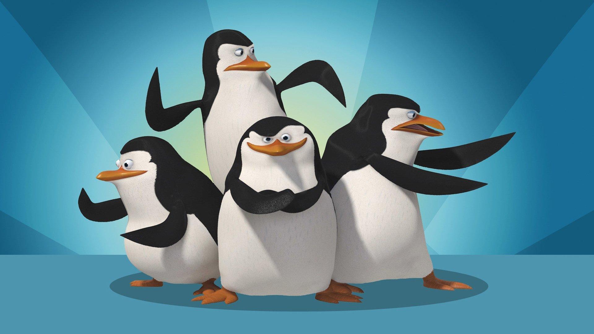 The Penguins of Madagascar: Operation DVD Premiere 2010 movie scene