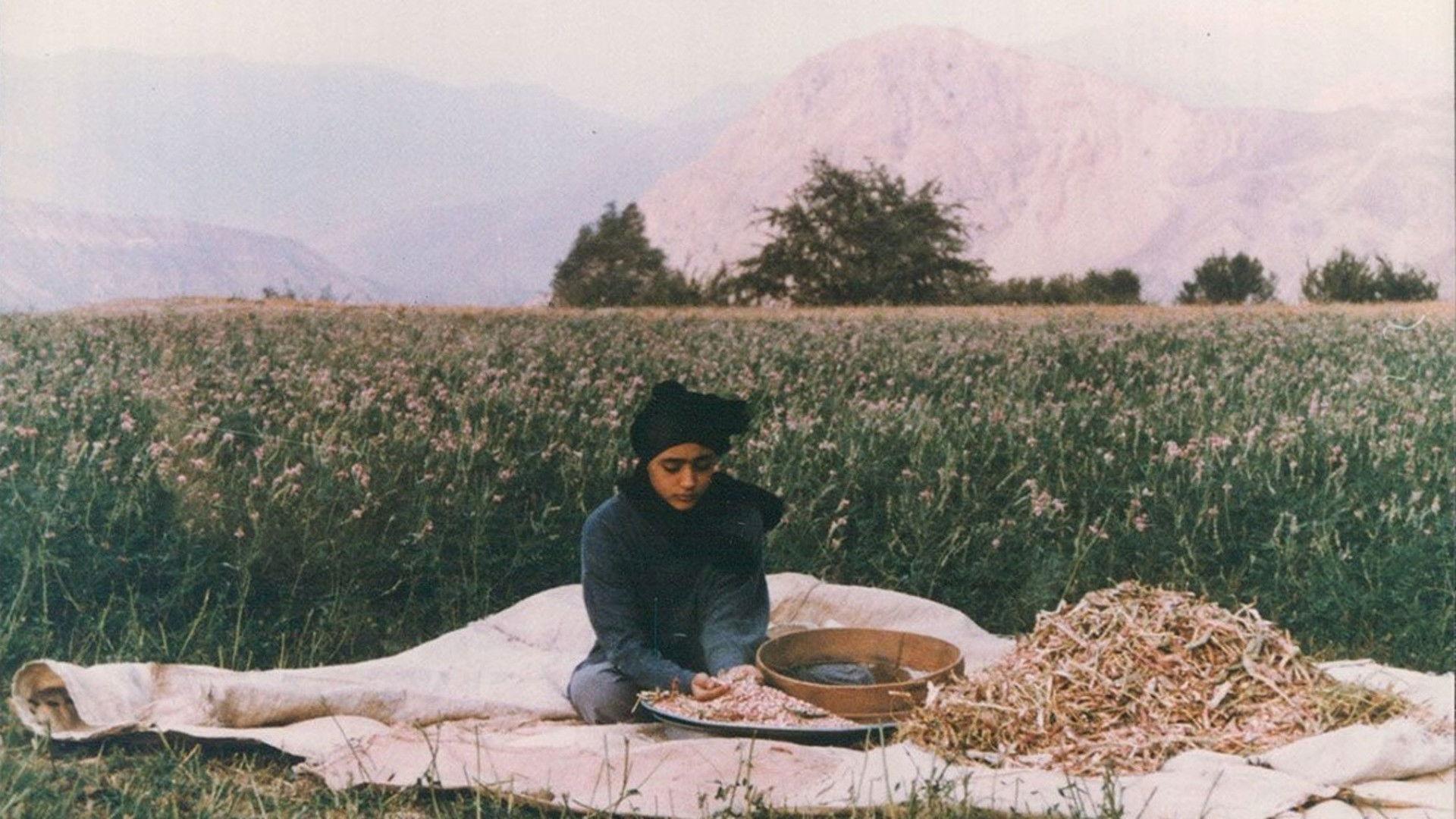 The Pear Tree 1998 movie scene