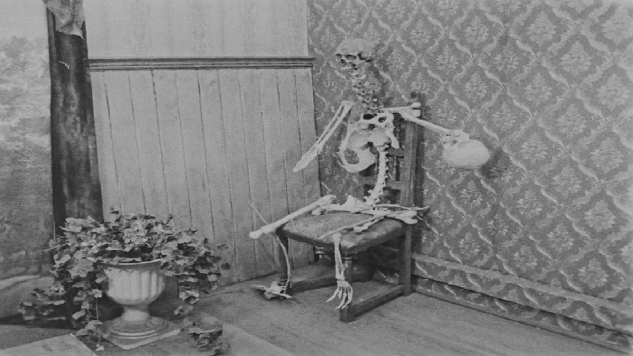 The Bones 2023 movie scene