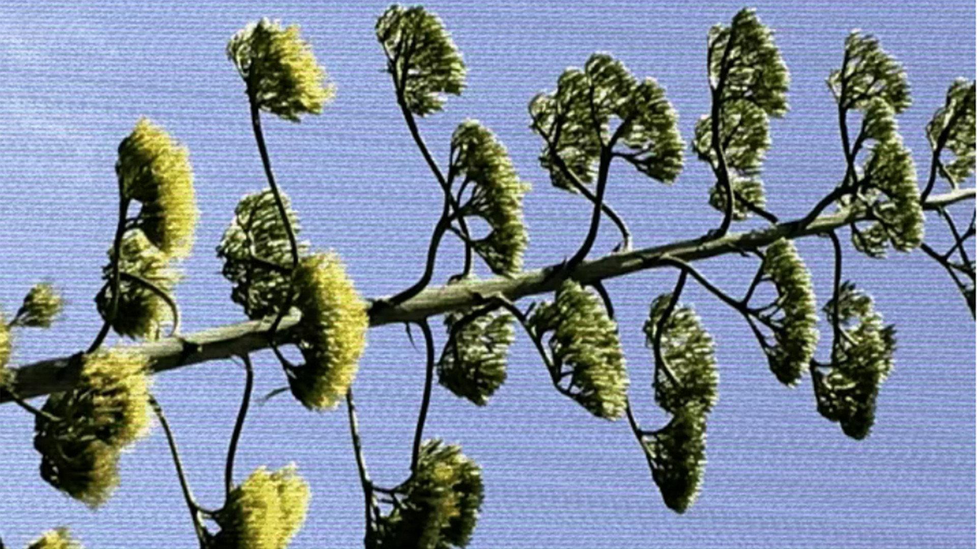 Plant X 2021 movie scene