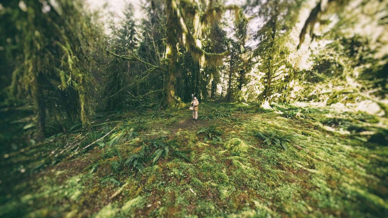 Sanctuaries of Silence 2018 movie scene