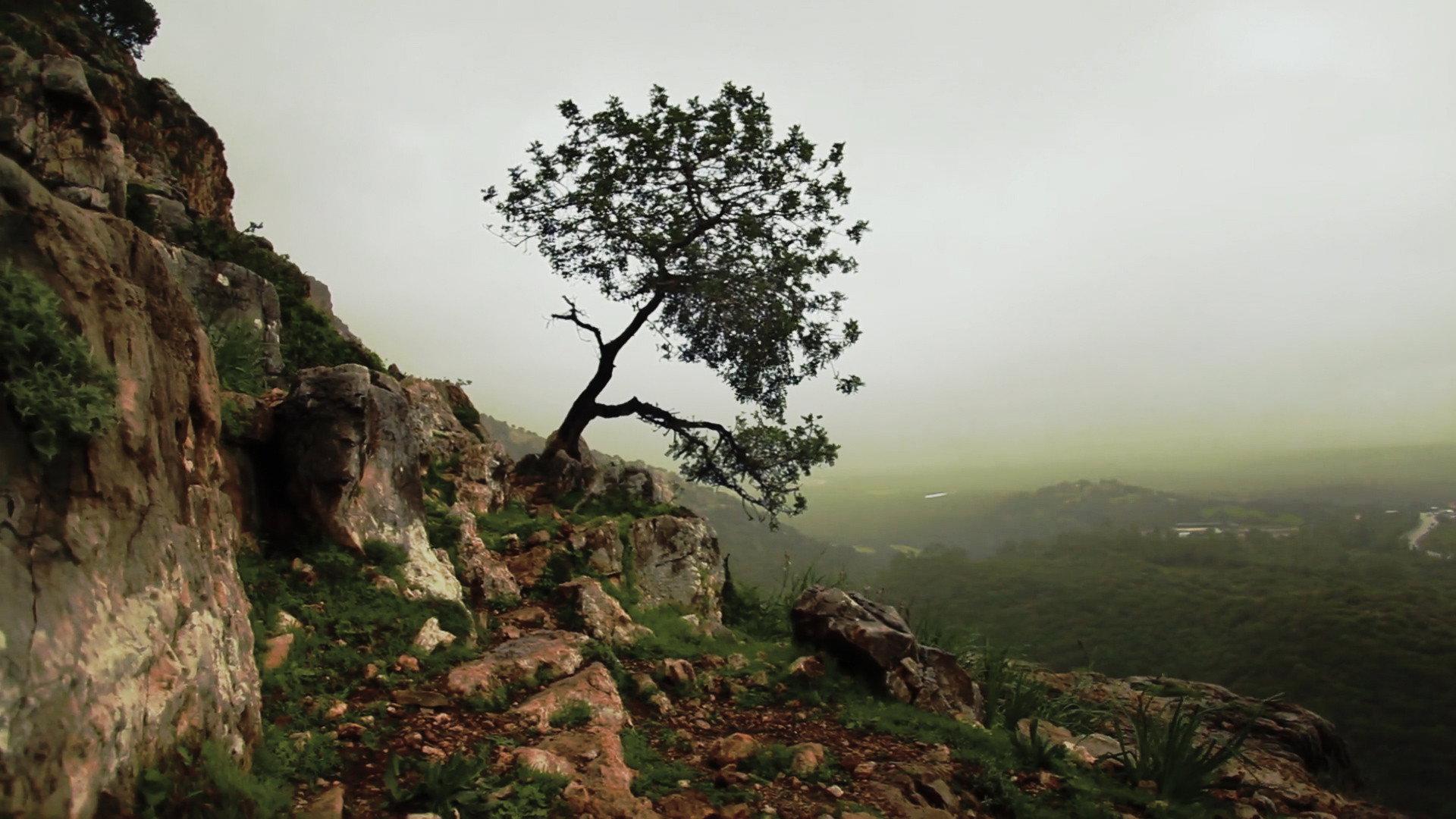 Is Mindfulness Right for You? 2021 movie scene