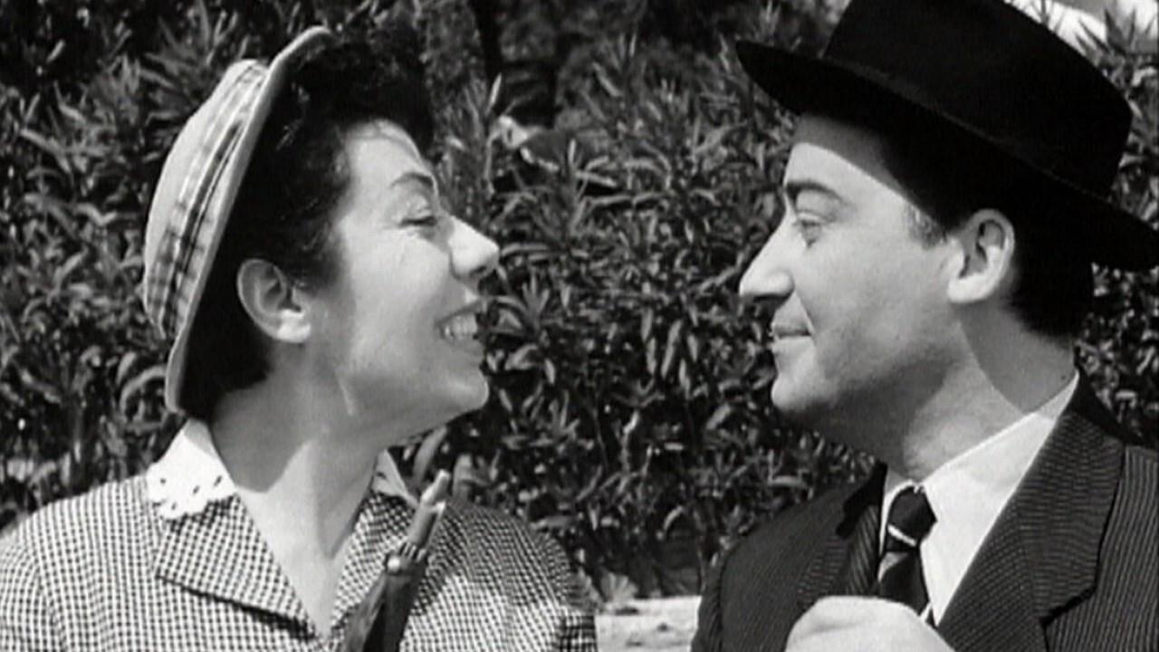 The Cicada and the Ant 1958 movie scene