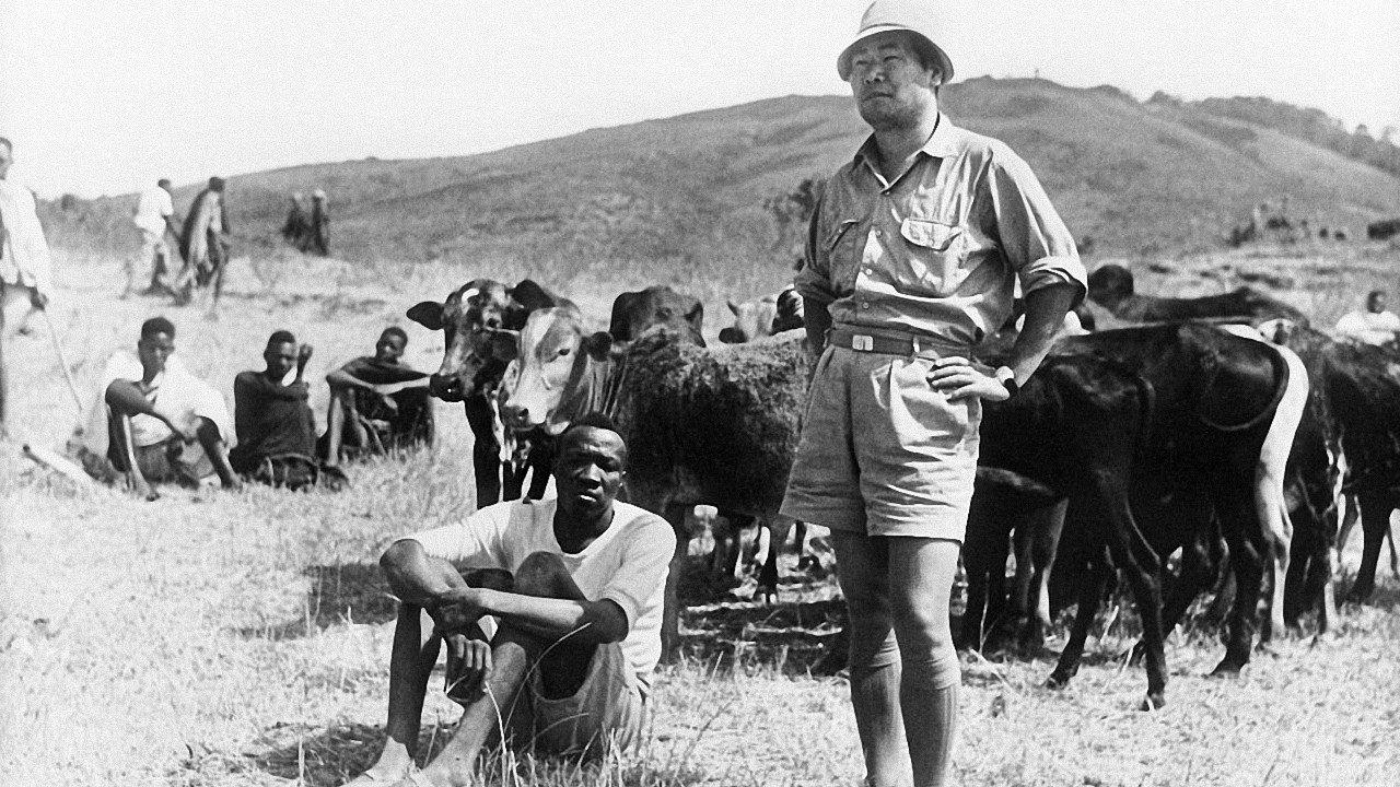 The Song of the Bwana Toshi 1966 movie scene