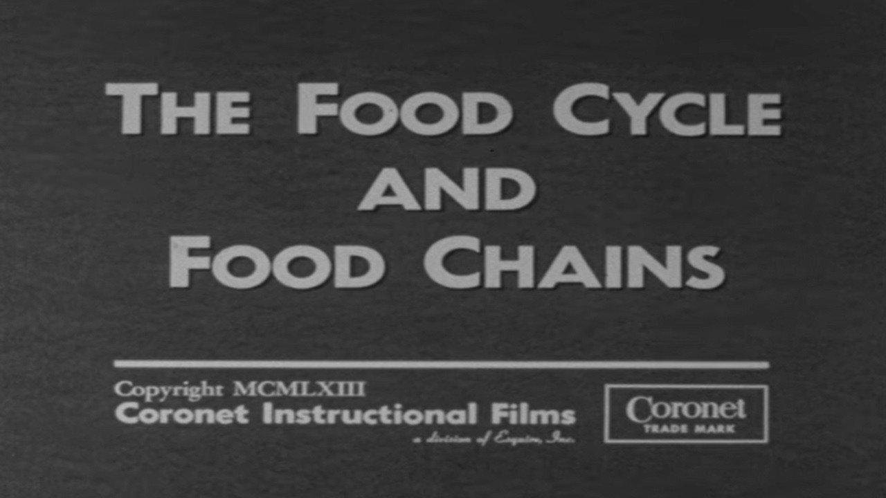 The Food Cycle and Food Chains 1963 movie scene