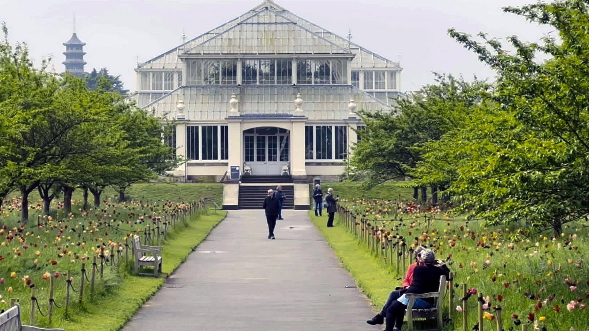 Botanical Gardens A Glass Paradise 2025 movie scene