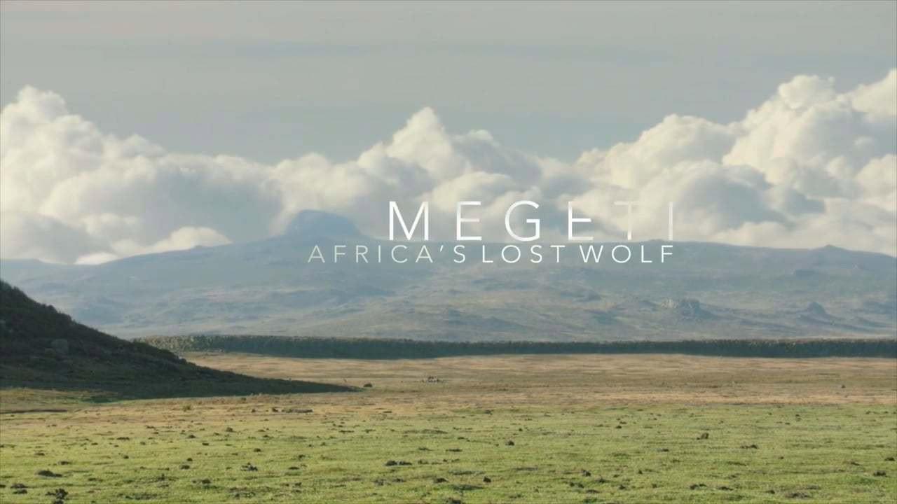 Megeti - Africa's Lost Wolf 2016 movie scene