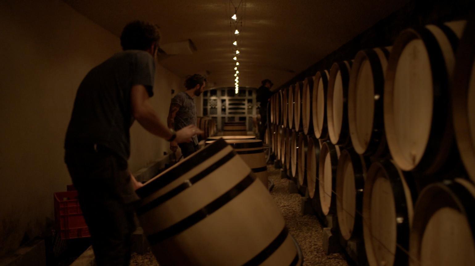 Into the Wine 2024 movie scene