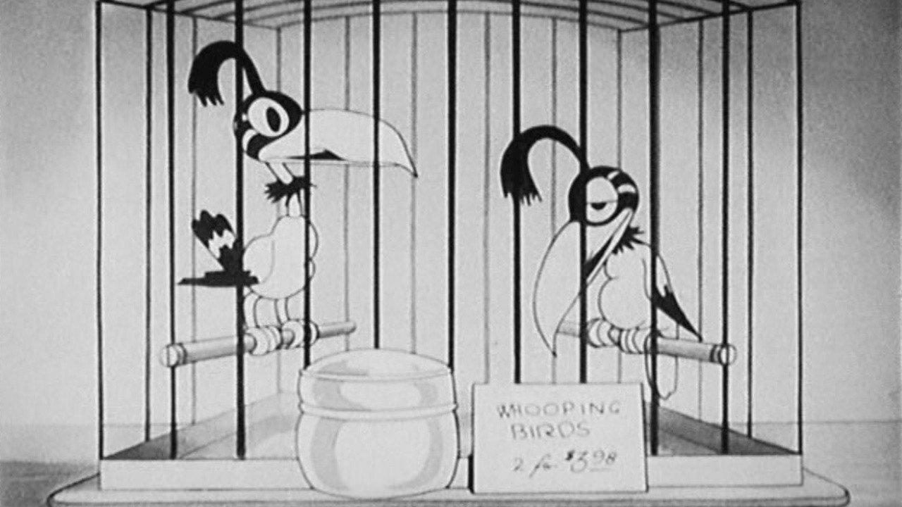 The Bird Store 1932 movie scene