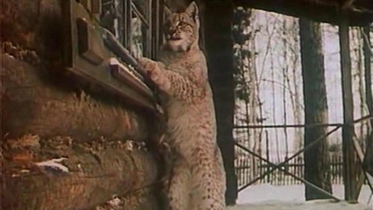 The Path Of Selfless Love 1972 movie scene