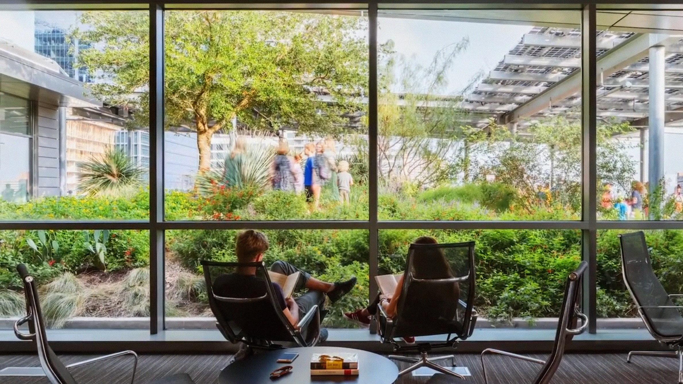 A Building Shaped by Light: Austin Central Library 2019 movie scene
