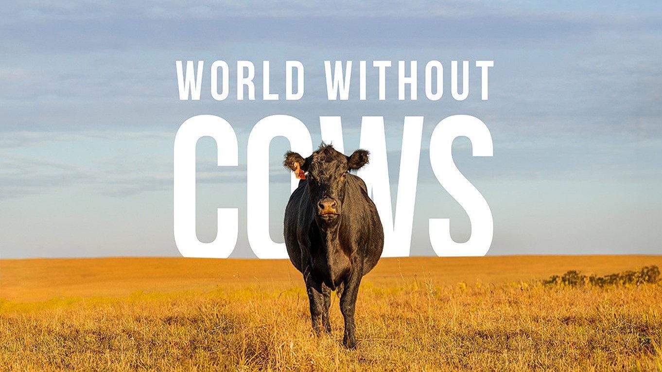 World Without Cows 2025 movie scene
