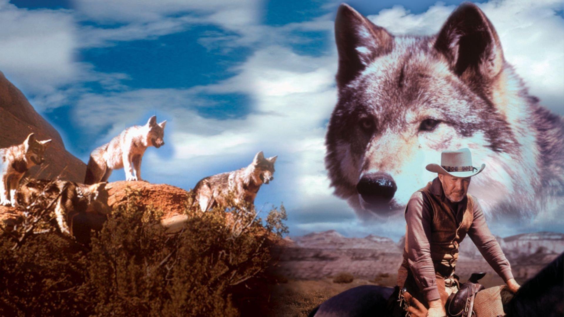 The Legend of Lobo 1962 movie scene