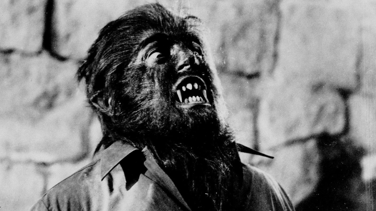 Paul Naschy: la sonrisa del lobo 2008 movie scene