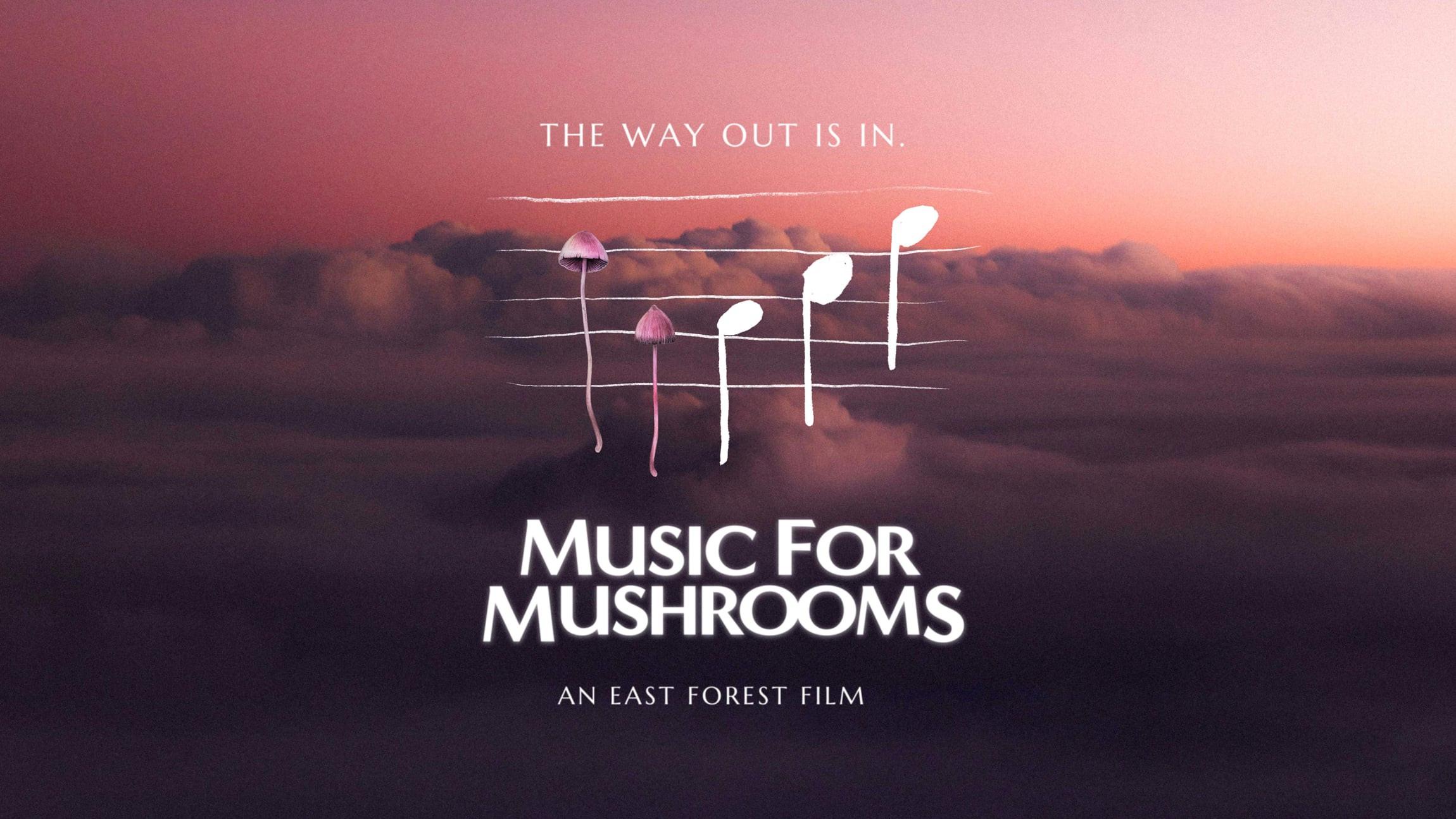 Music for Mushrooms 2024 movie scene