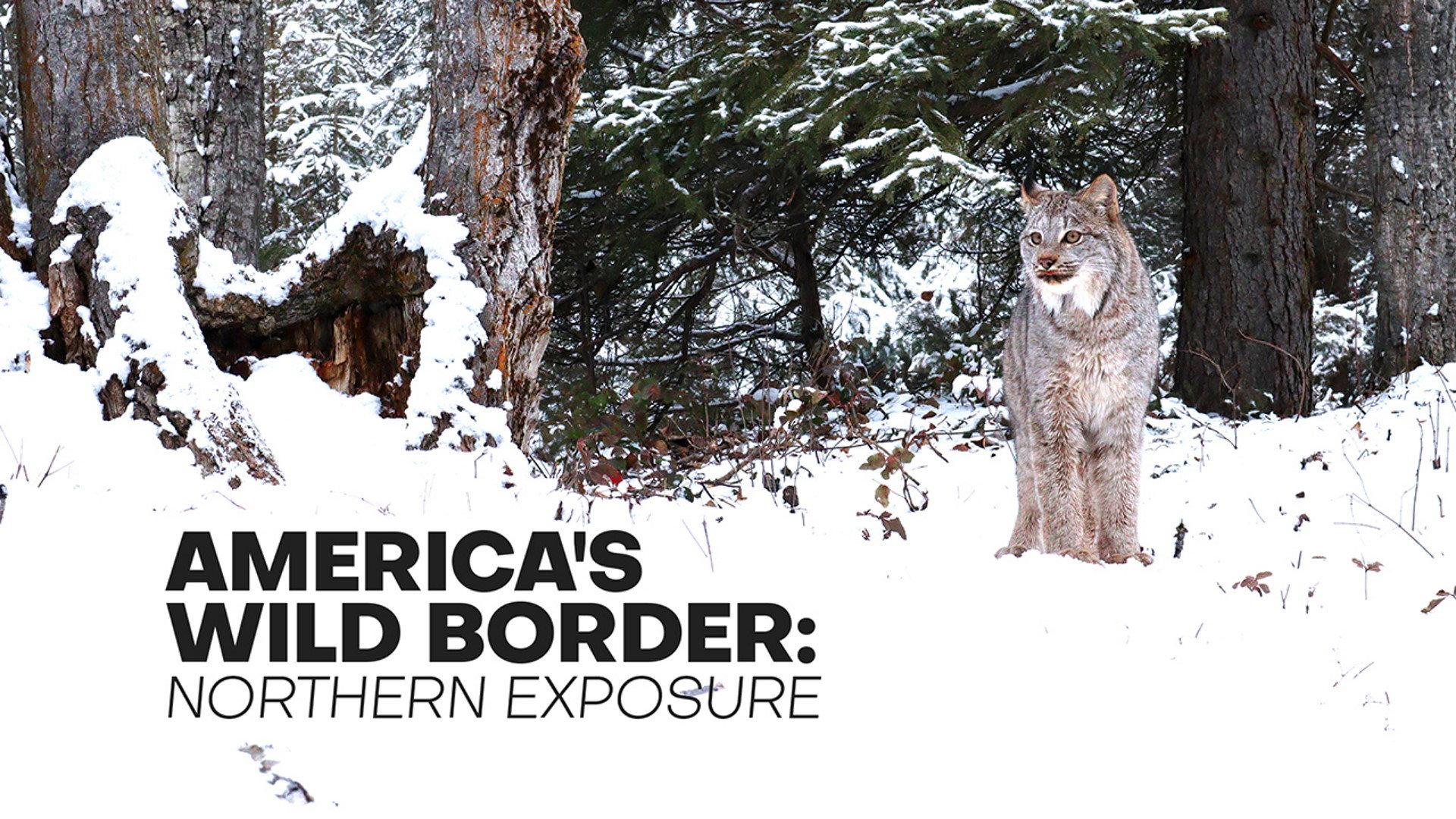 America's Wild Border: Northern Exposure 2020 movie scene