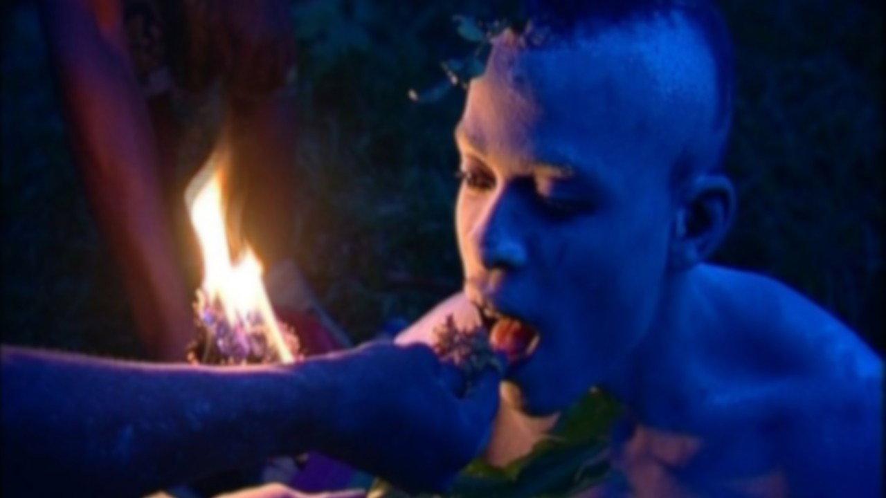 L'Iboga: Les Hommes du bois sacré  movie scene