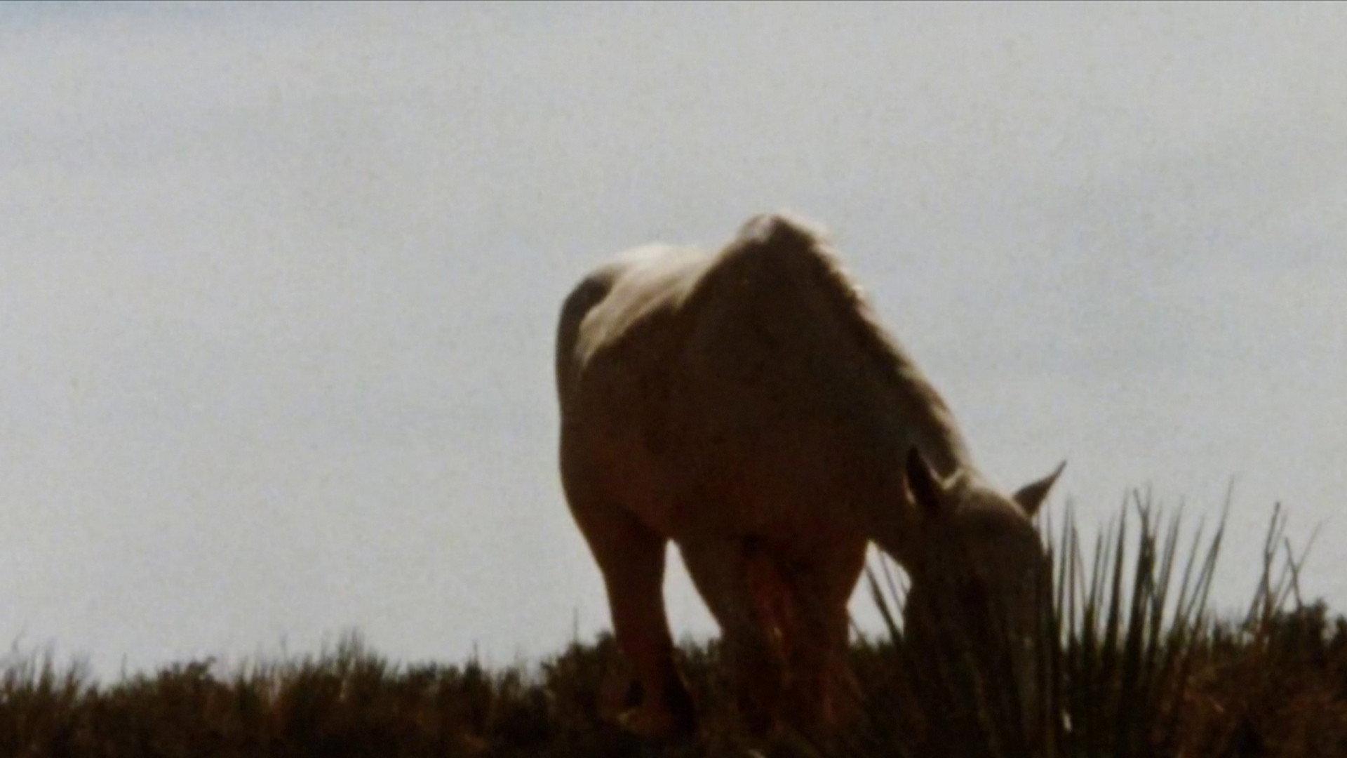 An Architecture of Desire 1988 movie scene