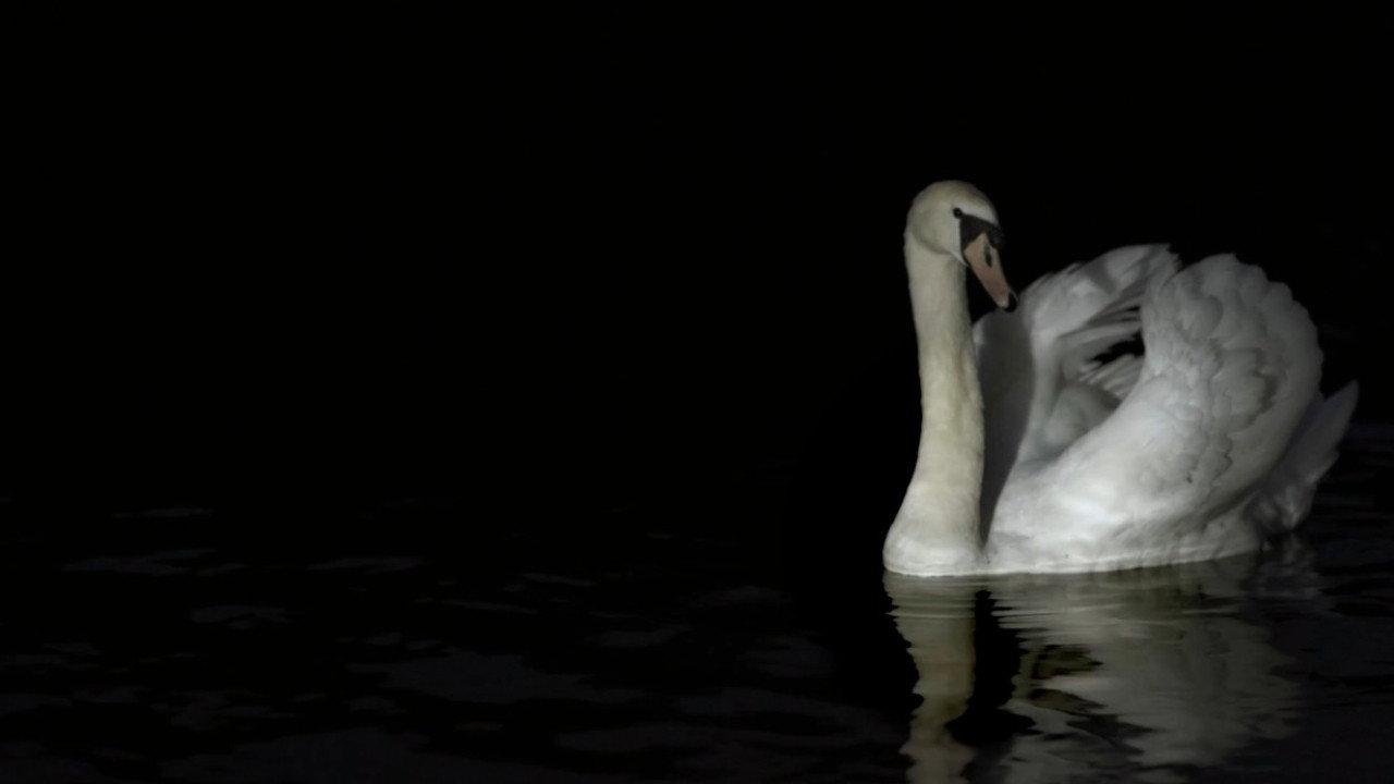 L'appel Du Vide 2017 movie scene