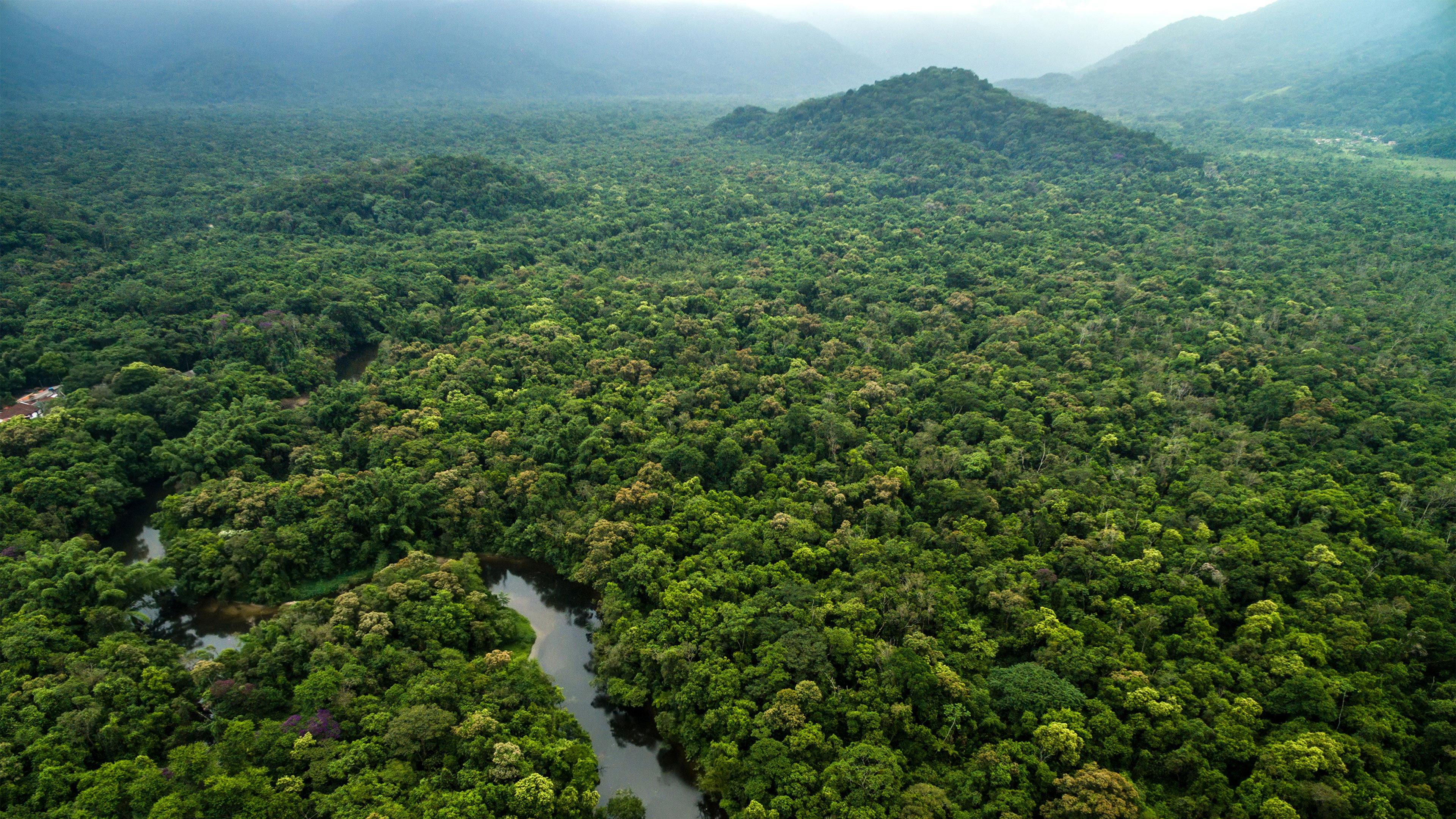 Guyane : L'or de la discorde  movie scene