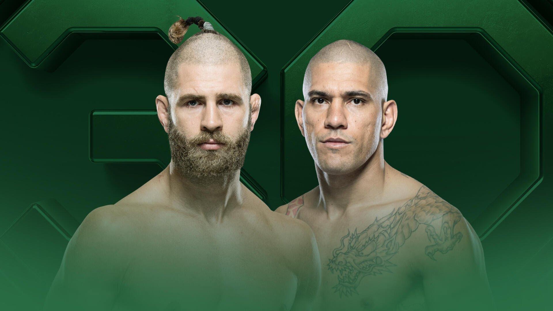 UFC 295: Prochazka vs. Pereira 2023 movie scene