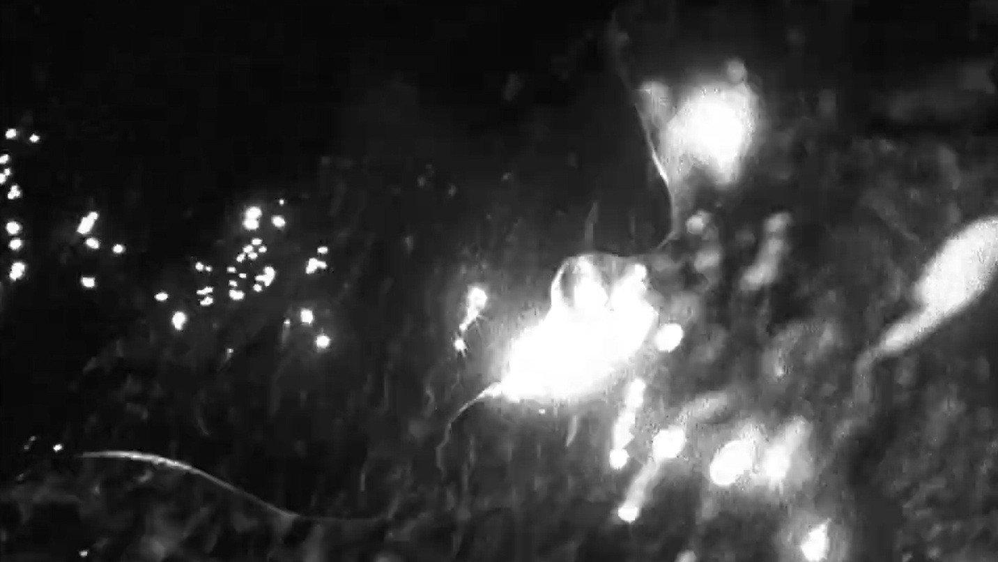 Made of Air 2014 movie scene