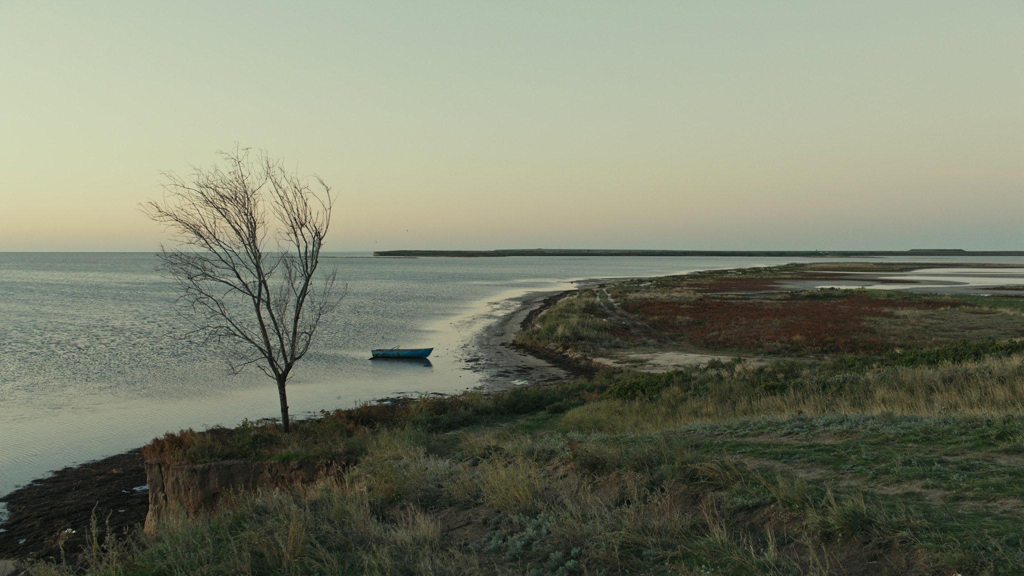 Homeward 2019 movie scene
