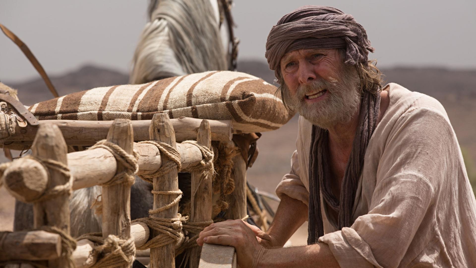 The Ark 2015 movie scene