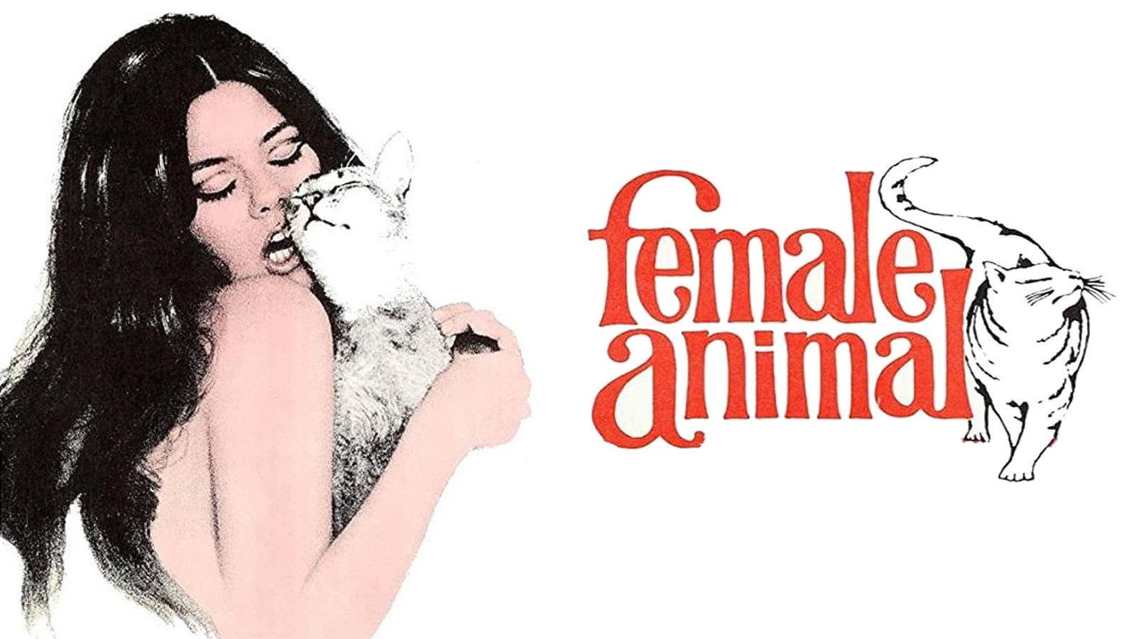 Female Animal 1970 movie scene